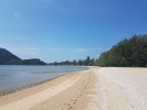 View looking north along the beach