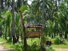Tiger Hut, Klong Prao beach, Koh Chang