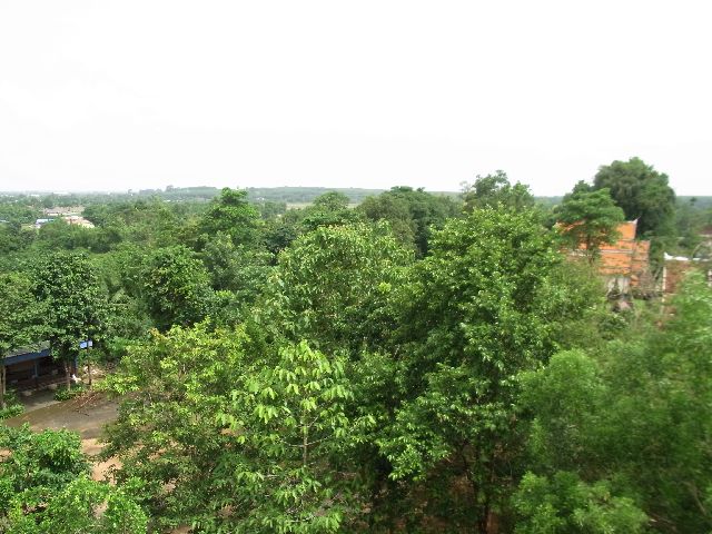 view from the seeing tower