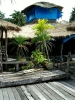 treehouse-06