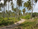 Road to Wai Chaek beach