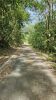 Road in 2023