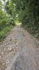 Road in 2023