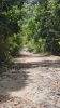 Road in 2023