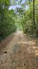 Road in 2023