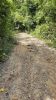 Road in 2023