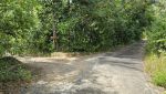 Road in 2023