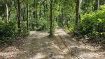 Road in 2023