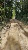 Road in 2023