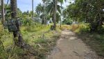 Sandy road