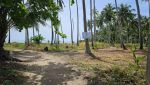 Near the beach