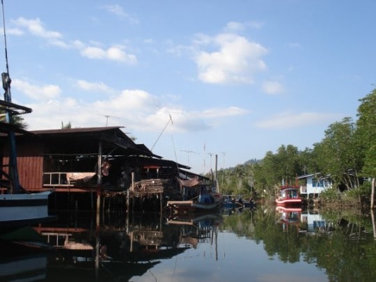 Get up close with the locals by kayak