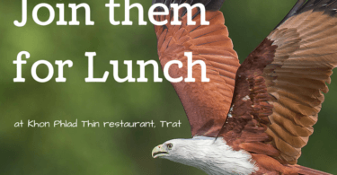 Trat Eagle restaurant - Khon Phlad Thin