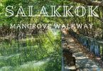 Salakkok Mangrove walkway