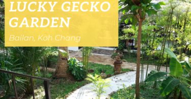 Lucky Gecko Garden, Bailan, Koh Chang