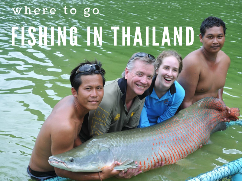 Fishing tours in Thailand