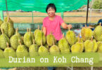 Koh Chang durian