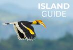 Guide to the best beaches on Koh Chang island, Thailand